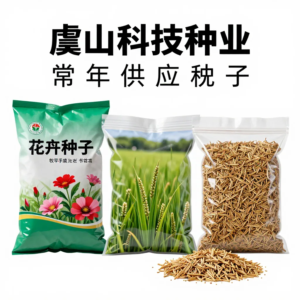 该品牌